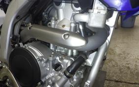 YAMAHA WR250R 2015 DG15J