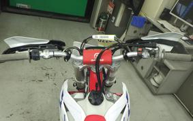 GASGAS EC 250 F
