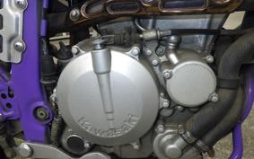KAWASAKI KLX250 ES Type 2016 LX250E