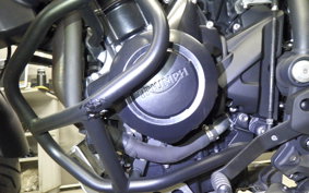 TRIUMPH TIGER 800 XC 2011