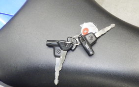 SUZUKI GSX-S125 2021 DL32B