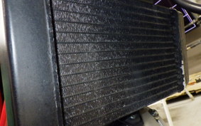 HONDA VTR 250 Gen. 2 MC33
