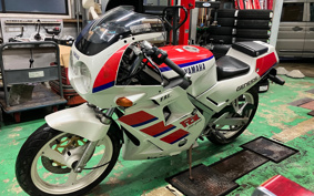 YAMAHA FZR250 2KR
