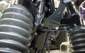 KAWASAKI W800 2022 EJ800E