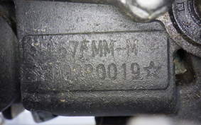 OTHER UNREGISTERED MODEL by BDS250