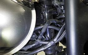 KAWASAKI W800 CAFE 2021 EJ800B