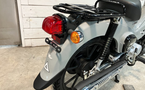 DUCATI DIAVEL DIESEL 2017 GC00