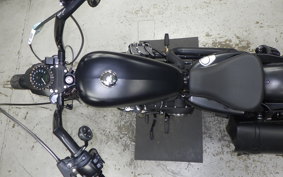 HARLEY XL883N 2019