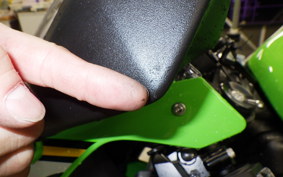 KAWASAKI NINJA ZX-6R A 2025 ZX636J