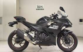 KAWASAKI NINJA 250 EX250P