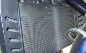 HONDA HAWK 11 2022 SC85