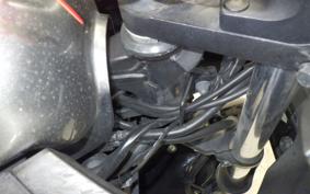 KAWASAKI NINJA 250 ABS EX250L