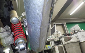 KAWASAKI BALIUS 250 Gen.2 ZR250B