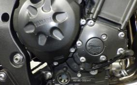 YAMAHA FZ1 FAZER 2011 RN21J