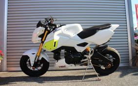 HONDA GROM JC61