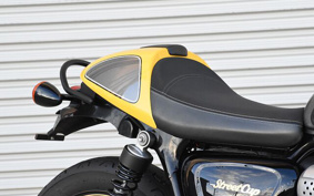 TRIUMPH ストリートカップ 2017 DAD77G
