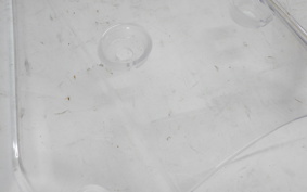 SUZUKI Vｽﾄﾛｰﾑ250A