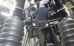 KAWASAKI W800 CAFE 2021 EJ800B