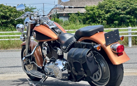 HARLEY FLSTF 105th 2007 BX5