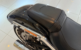 HARLEY  HARLEY FLFBS 2021 YGK