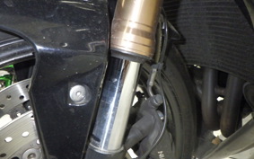 TRIUMPH DAYTONA 675 2016