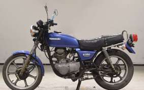 KAWASAKI Z250 FS 2019 KZ250G