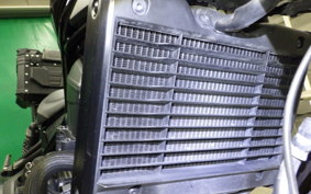 HONDA REBEL 1100 DCT 2023 SC83