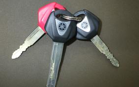 YAMAHA XSR900 2025 RN96J