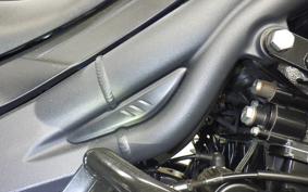 TRIUMPH TIGER 1050 2009