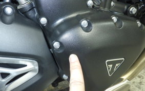 TRIUMPH SPEED400 2024