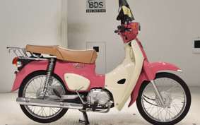 HONDA C110 SUPER CUB