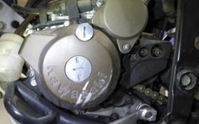 KAWASAKI KLX250 LX250E