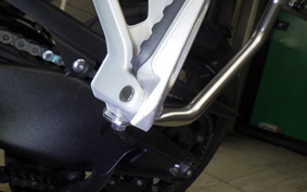 TRIUMPH TIGER900 RALLYARACO 2024
