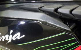 KAWASAKI ZX-4R SE 2024 ZX400P