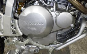 HONDA XR-250 GEN 2 1996 MD30