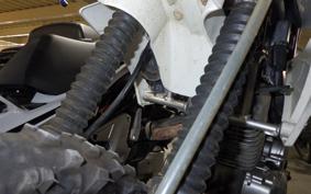 KAWASAKI KLX125 2022 LX125C