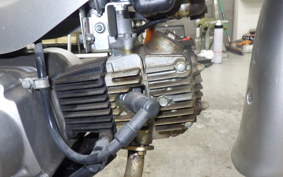 HONDA LITTLE CUB 2019 AA01