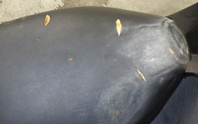 HONDA DIO Z4 GEN 2 AF63