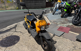HONDA ZUMAR AF58