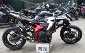 KAWASAKI ZX-25R ZX250E