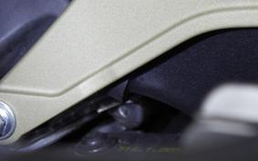 DUCATI PANIGALE V4 S 2020