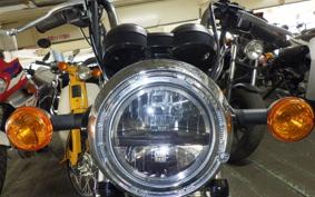 KAWASAKI W230 2021 BJ230A
