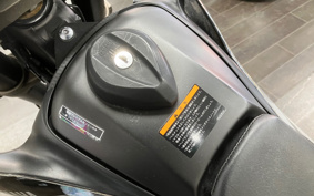 YAMAHA WR250X DG15J