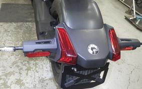 OTHER CAN-AMﾗｲｶｰ900 RALLYED 2019