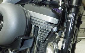 HARLEY XL1200CX 2020