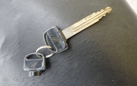 HONDA ZOOMER 2024 AF58