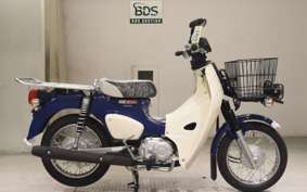HONDA C50 SUPER CUB 1991 AA07