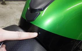 KAWASAKI ZX 1400 NINJA R A 2017