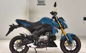 KAWASAKI Z125 PRO 2022 BR125H