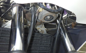 YAMAHA FZR250 2010 2KR